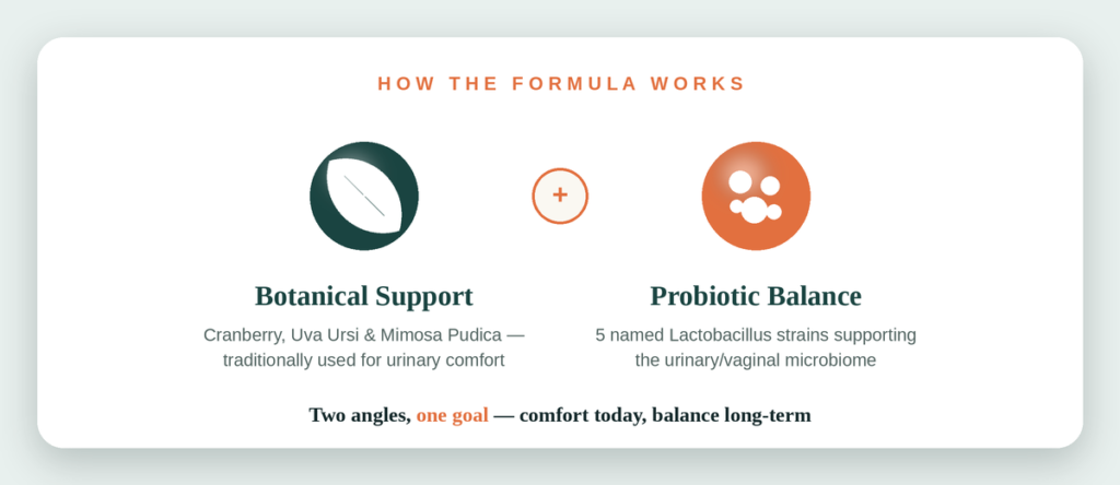 Infographic showing how FemiCore works: botanical support plus probiotic balance for urinary and vaginal health